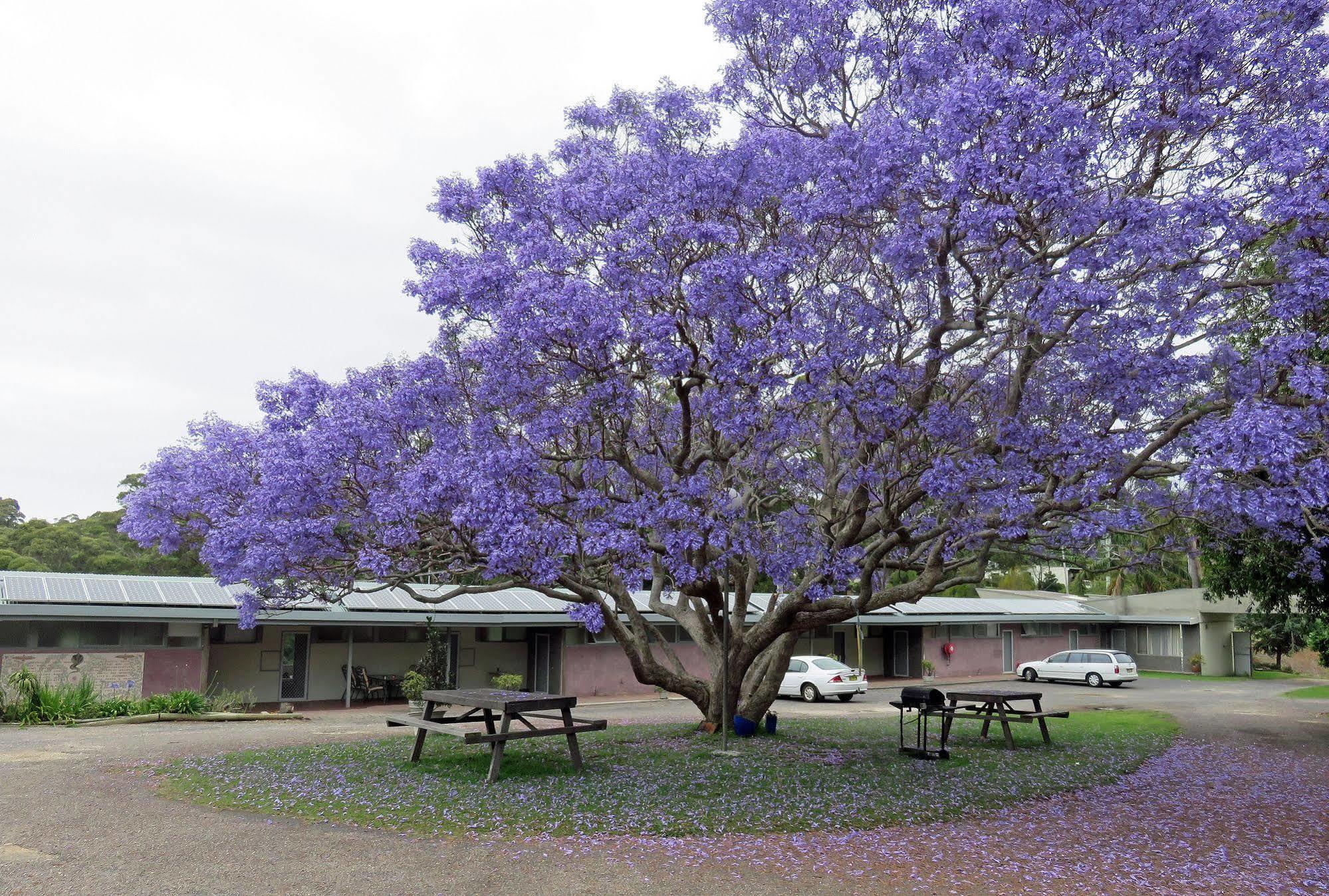 Ecotel Narooma North Narooma Exteriér fotografie